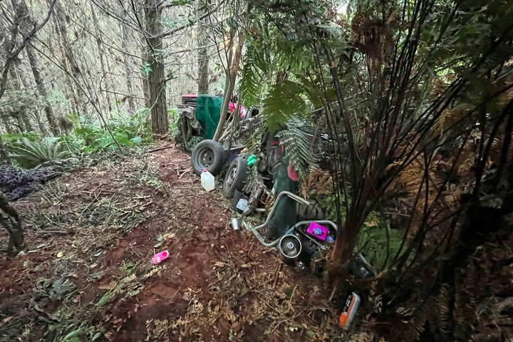 Segundo Warwick Morehu, do Ministério da Infância da Nova Zelândia, as crianças receberão toda a ajuda e assistência de que precisarem, pelo tempo que for necessário.