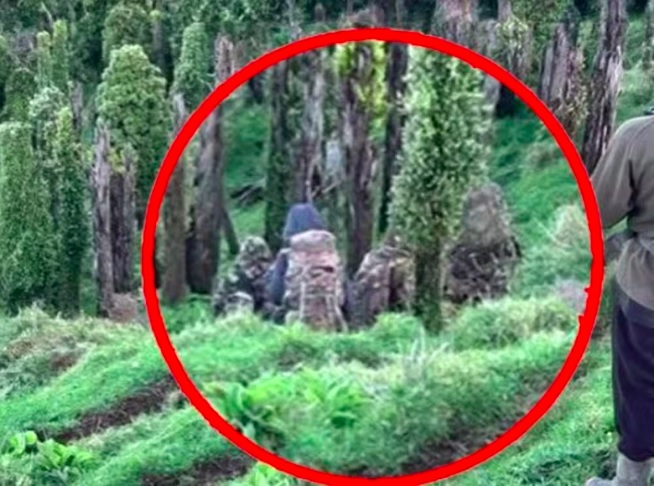 Ao longo desse tempo, ele chegou a ser avistado algumas vezes. O caso vinha chamando a atenção da mídia neozelandesa.