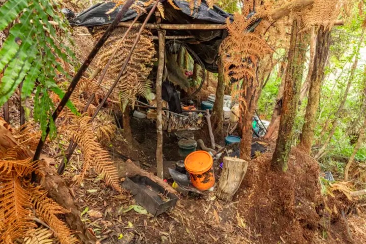 As outras duas crianças foram localizadas mais tarde, em um acampamento no meio da floresta. Segundo informações da polícia, todas estão fisicamente bem.