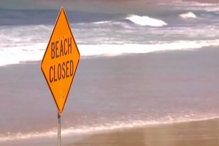 Segundo ele, havia um homem gritando: Não quero ser mordido! Não quero ser mordido! Não me morda!.