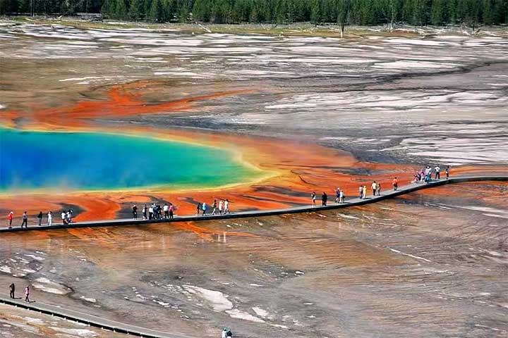 O parque também já registrou 22 mortes humanas por quedas em fontes termais, além de centenas de feridos desde 1872.