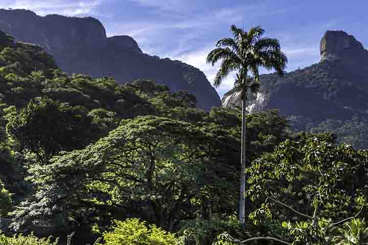 A Floresta da Tijuca, onde fica o hotel, é uma das maiores florestas urbanas do mundo.