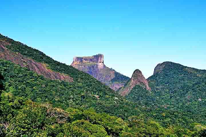 Com cerca de 39 quilômetros quadrados, a floresta faz parte do Parque Nacional da Tijuca e é um verdadeiro santuário ecológico.