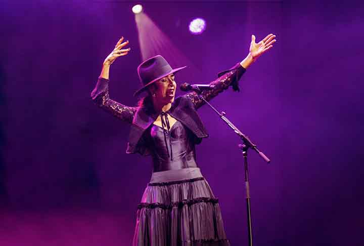 O produtor musical Nelson Motta se tornou diretor do primeiro show, após o retorno de Marisa, em 1987. Desse modo, o evento Veludo Azul teve temporadas no Rio e em São Paulo, e foi um sucesso de público e crítica.