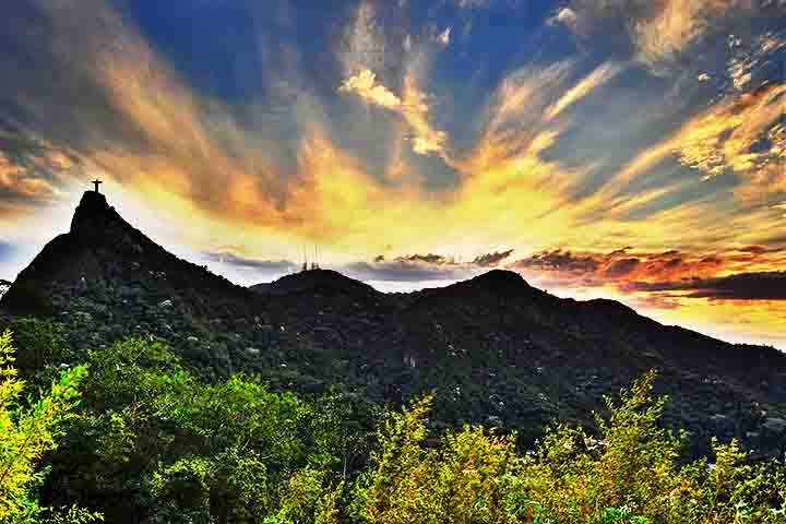 Para reverter os danos, o imperador Dom Pedro II ordenou o reflorestamento da região, trabalho realizado por escravizados alforriados, resultando na floresta que é conhecida hoje.