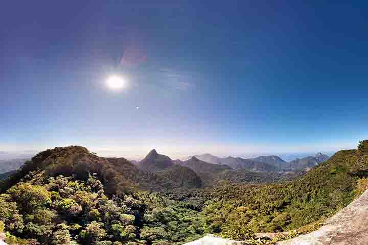O que torna a floresta ainda mais especial é sua história de recuperação: no século 19, a área sofreu intenso desmatamento devido à plantação de café, o que comprometeu os mananciais que abasteciam a cidade. 
