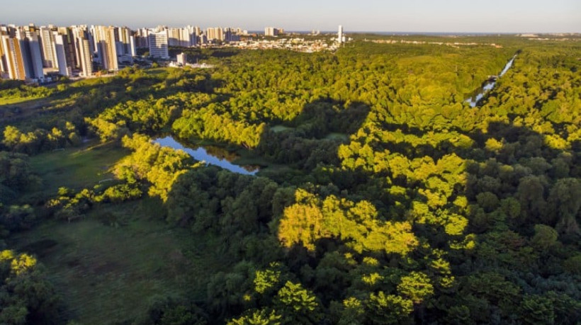 O projeto promove oficinas práticas com plantio de árvores, aulas de campo em áreas de bioma nativo e produção de conteúdos educativos em diferentes formatos
 