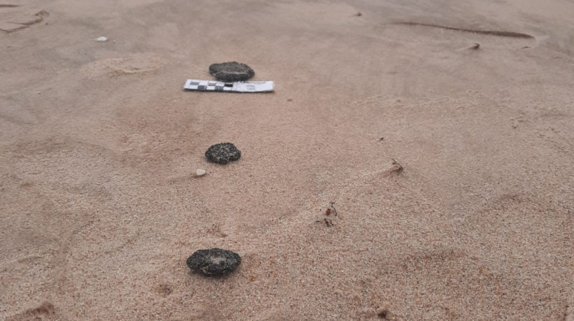 Material identificado como óleo foi coletado nesta quarta-feira, 17, pelo Instituto de Ciências do Mar (Labomar) 