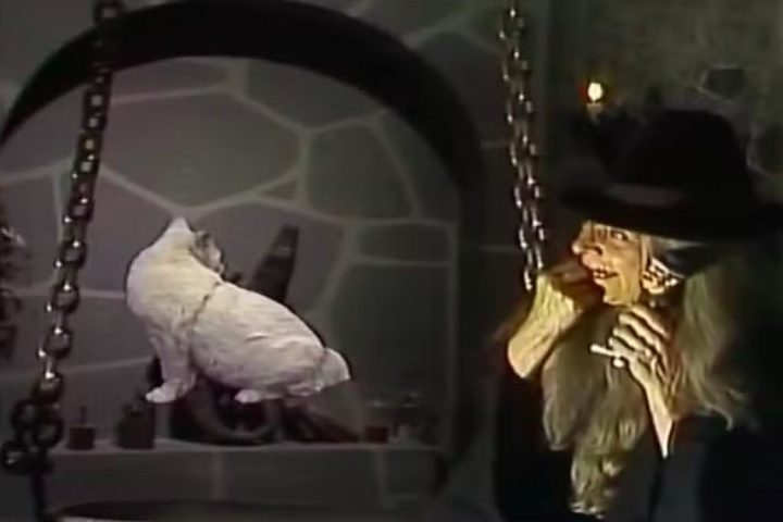 Outro gato! – Uma curiosidade é que o lar da Dona Clotilde — a Bruxa do 71 — só foi mostrado uma única vez, em um episódio que na verdade é inteiro fruto da imaginação de Chaves e Chiquinha.