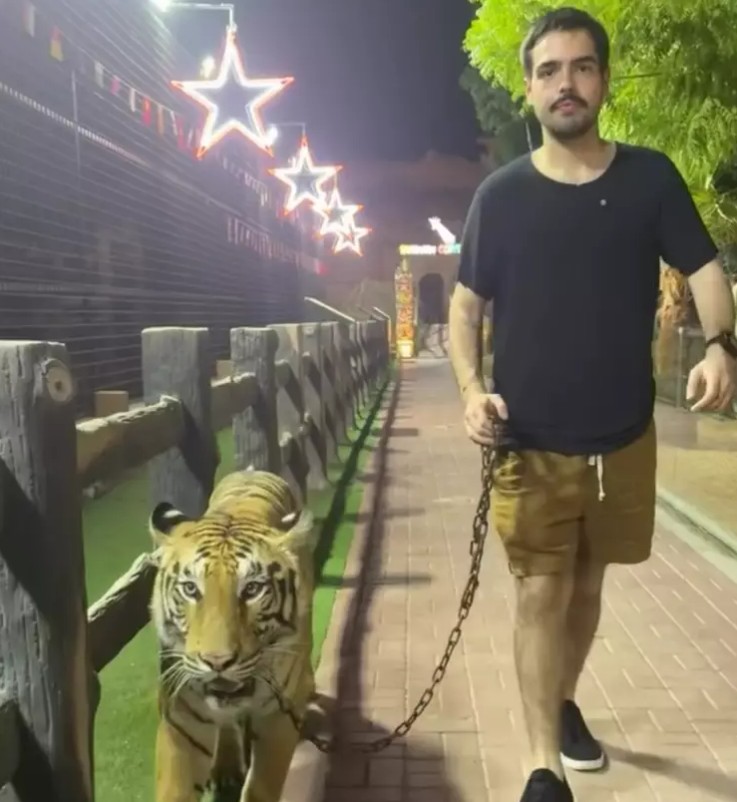 O local é um abrigo para animais selvagens abandonados ou vítimas de negligência, oferecendo também experiências como passear com leões e tigres, alimentar girafas e brincar com chimpanzés. Tigres, aliás, têm até dia comemorativo, sabia dessa?