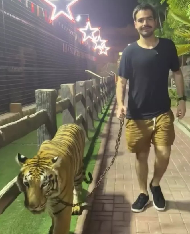 Um dos filhos do apresentador Faustão, João Silva, publicou um vídeo que chamou a atenção em suas redes sociais. Ele impressionou ao posar caminhando com um tigre em uma coleira. O passeio ocorreu durante uma viagem a Dubai, nos Emirados Árabes Unidos.