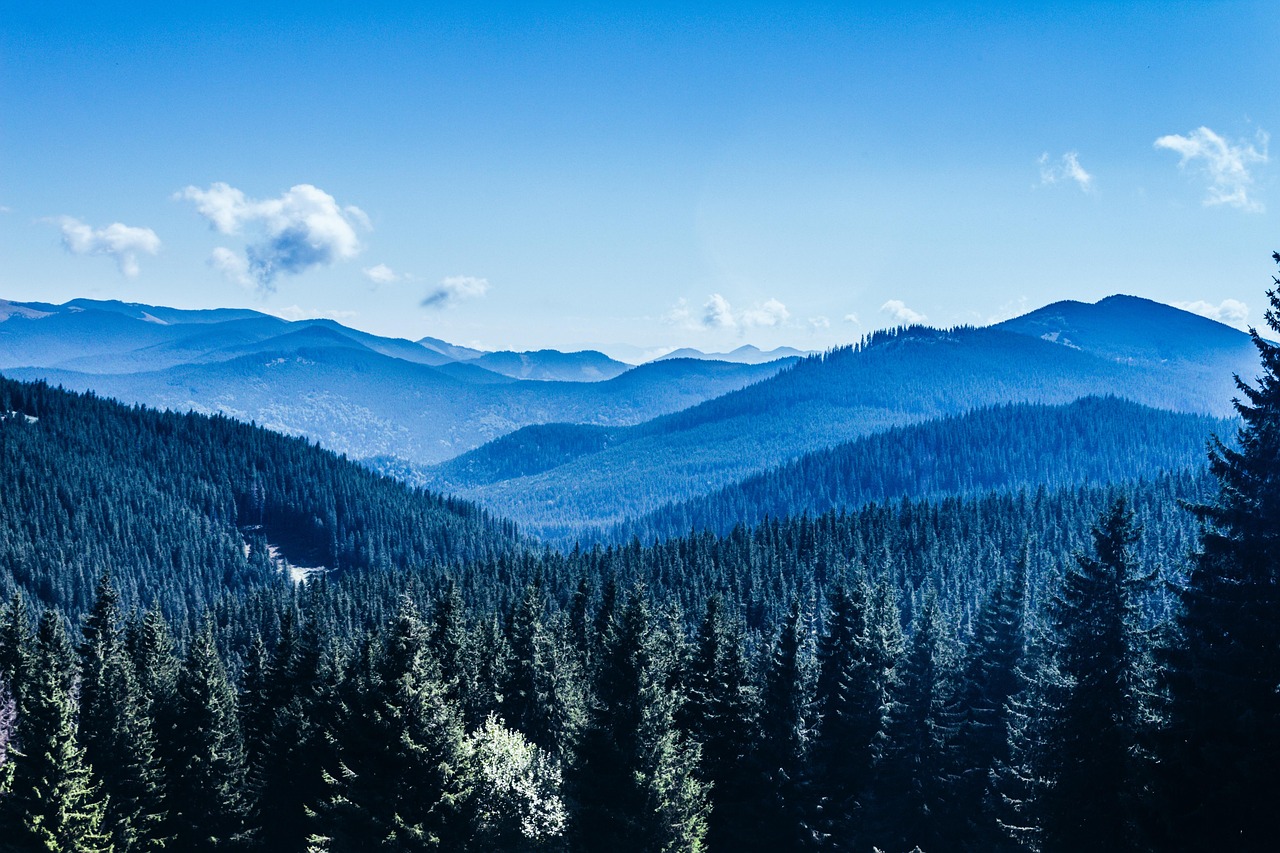 A literatura, ao eternizar os Cárpatos como lar do conde Drácula, deu nova vida à região. Mas a beleza real dessas montanhas vai além da ficção e convida à contemplação e ao respeito pela natureza.