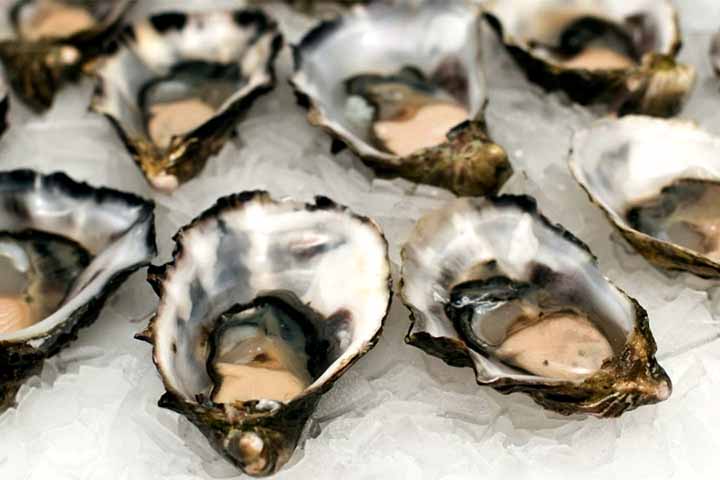 Segundo Edison Barbieri, pesquisador do Instituto de Pesca da Secretaria de Agricultura e Abastecimento do Estado de São Paulo, a presença de Citrobacter telavivensis na cadeia alimentar representa uma grave ameaça sanitária.