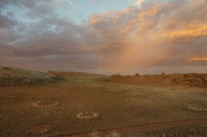 Uma pesquisa relevante foi divulgada em 2023 na revista Proceedings of the National Academy of Sciences.