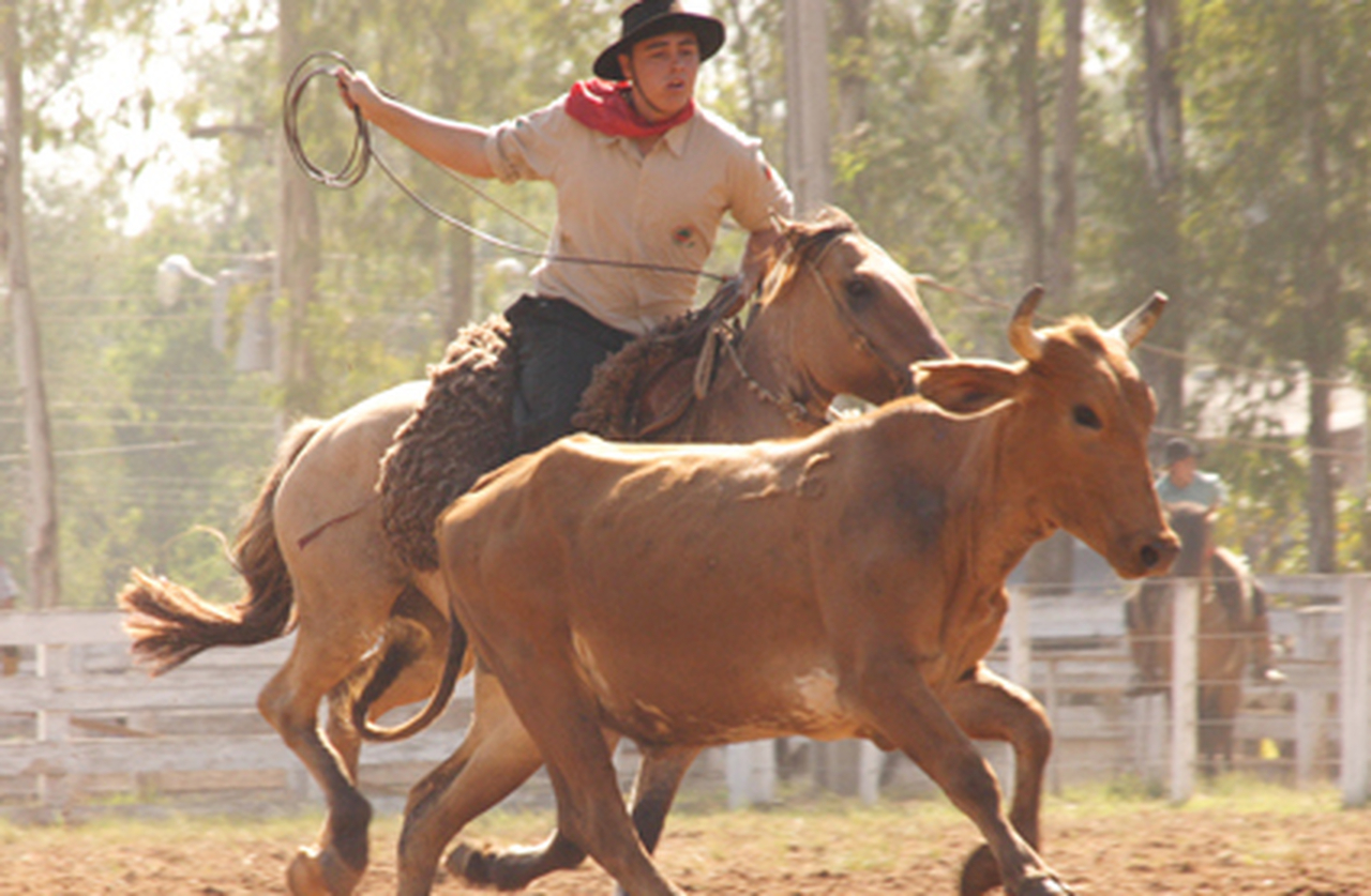 As provas de laço são competições tradicionais dos rodeios gaúchos. Nelas, o peão demonstra sua habilidade ao laçar o boi em movimento — uma prática que exige técnica, precisão e muita destreza.