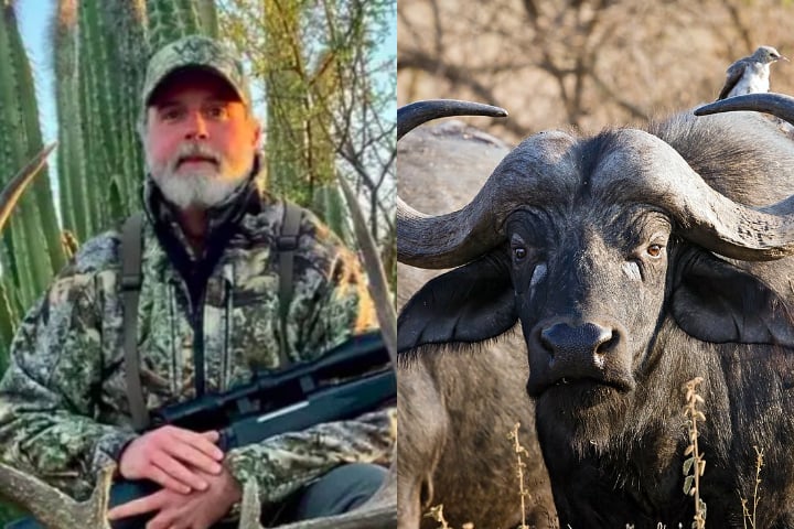 Um norte-americano famoso por caçar animais de grande porte morreu após ser atingido por um búfalo na província de Limpopo, África do Sul.