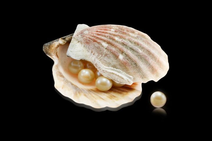 As ostras também são famosas por produzirem pérolas, embora nem todas as espécies comerciais sejam usadas para esse fim. 