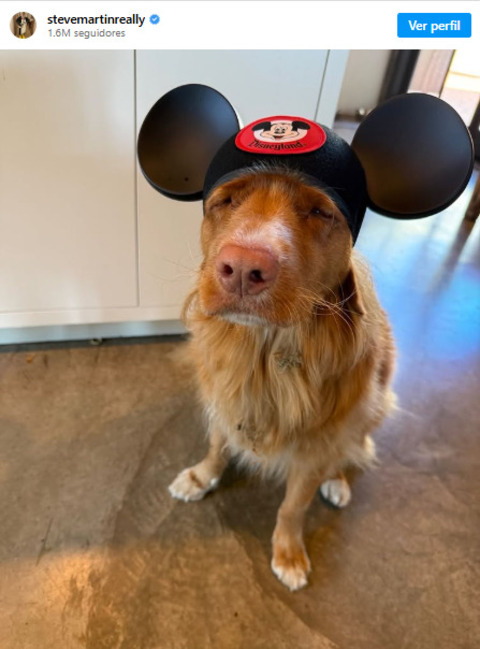 O comediante Steve Martin anunciou que testou positivo para COVID-19 e, por isso, cancelou as apresentações da turnê The Dukes of Funnytown! em Virginia Beach e Richmond, nos Estados Unidos. Ele usou imagem de um cachorro com chapéu do Mickey para dar um tom divertido à mensagem.