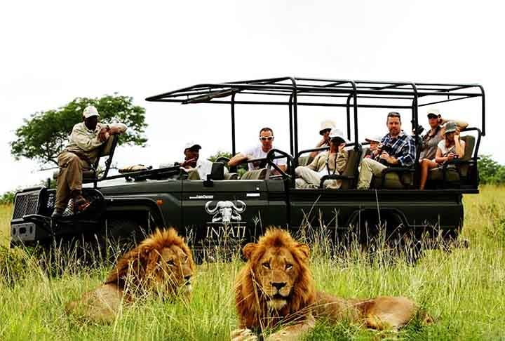 KRUGER NATIONAL PARK (Mpumalanga, África do Sul) - Criado em 1898. O Kruger oferece uma das maiores concentrações de vida selvagem do planeta.