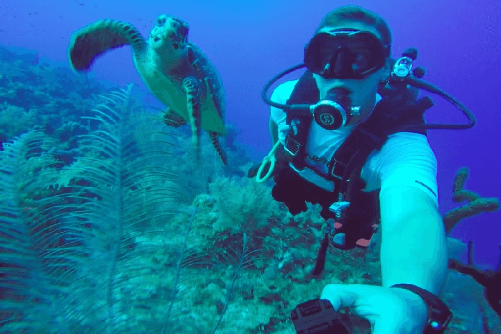 Mergulho e vida marinha também são um convite a parte. O Batismo de Mergulho é oferecido para iniciantes, com instrutores credenciados. É possível avistar peixes, corais e tartarugas em áreas protegidas e acessíveis apenas por barco.