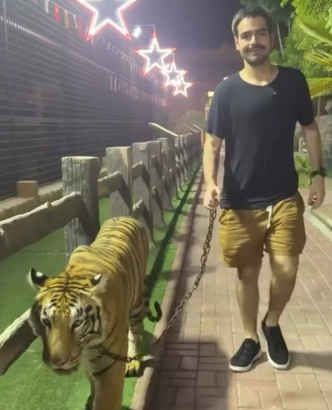 Um dos filhos do apresentador Faustão, João Silva, publicou um vídeo que chamou a atenção em suas redes sociais. Ele impressionou ao posar caminhando com um tigre em uma coleira. O passeio ocorreu durante uma viagem a Dubai, nos Emirados Árabes Unidos.