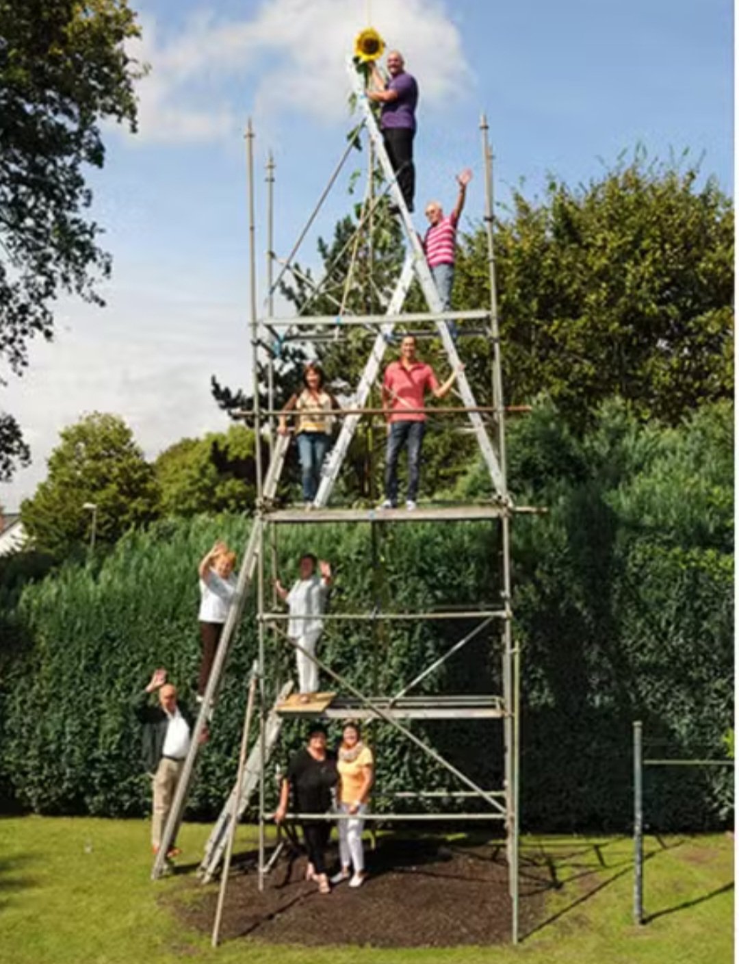 Um girassol de 10,90 metros de altura foi reconhecido como o maior do mundo, batendo um recorde que durava dez anos