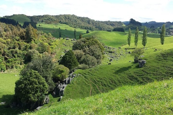 O acampamento de Phillips com os filhos foi encontrado na região de Waikato, área conhecida por suas vastas planícies e pela forte tradição agropecuária, especialmente na produção de leite.