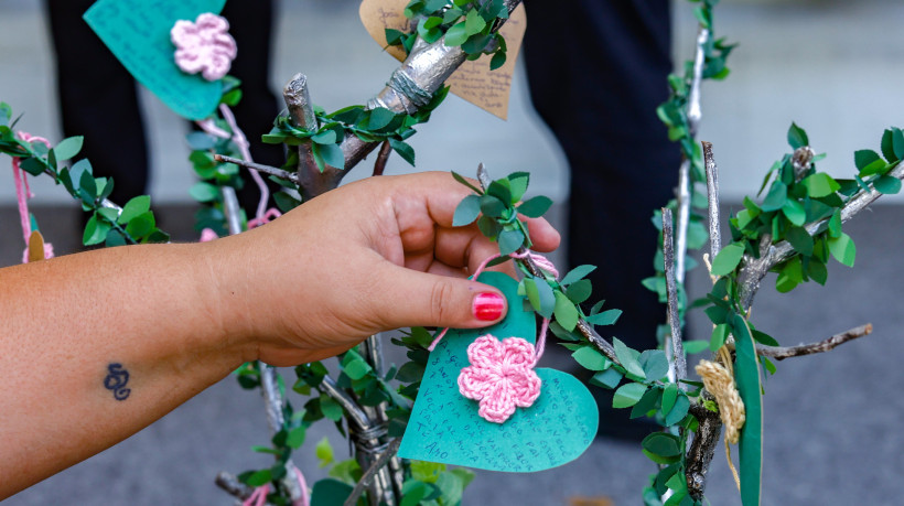 
IJF promove o 13º Encontro de Famílias Doadoras de Órgãos do IJF na Casa Barão de Camocim. A iniciativa integra as ações do Setembro Verde, mês de conscientização e incentivo à doação de órgãos e tecido































































































































































































































































































































































































































































































































































































































































































































































































































































































































































