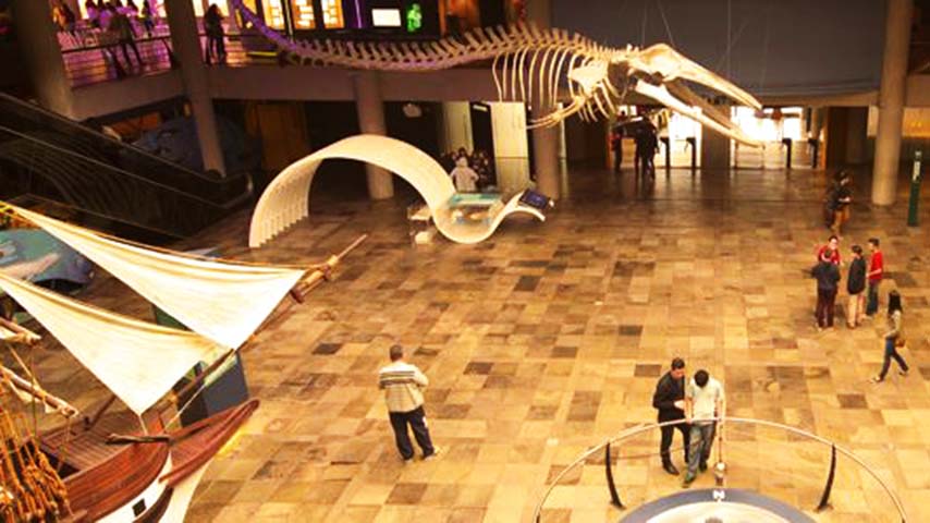 Museu de Ciências e Tecnologia da PUC (Porto Alegre): Inaugurado em 1998, oferece acervo interativo de ciências naturais, experimentos sobre o Homem e o Universo, e um acervo de 5 milhões de peças permanentes, além de artigos que eventualmente se agregam às exposições. 