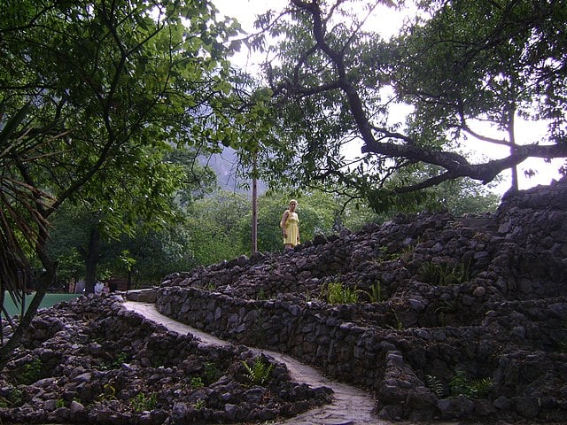 O Parque tem trilhas para caminhadas onde as pessoas são orientadas a não interagir com os animais. Apenas contemplar a Natureza. 