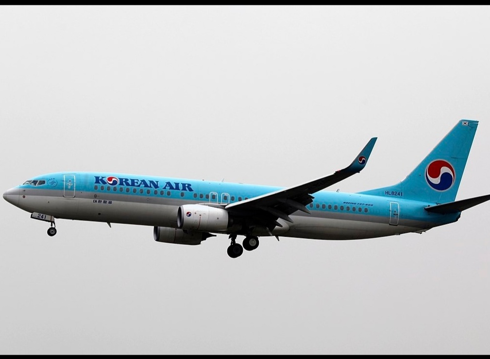 Brasil e Coreia do Sul fazem parte do acordo internacional de isenção de visto de turista. Por isso, não há cobrança na imigração, exceto tributações de mercadorias para fins de comércio.