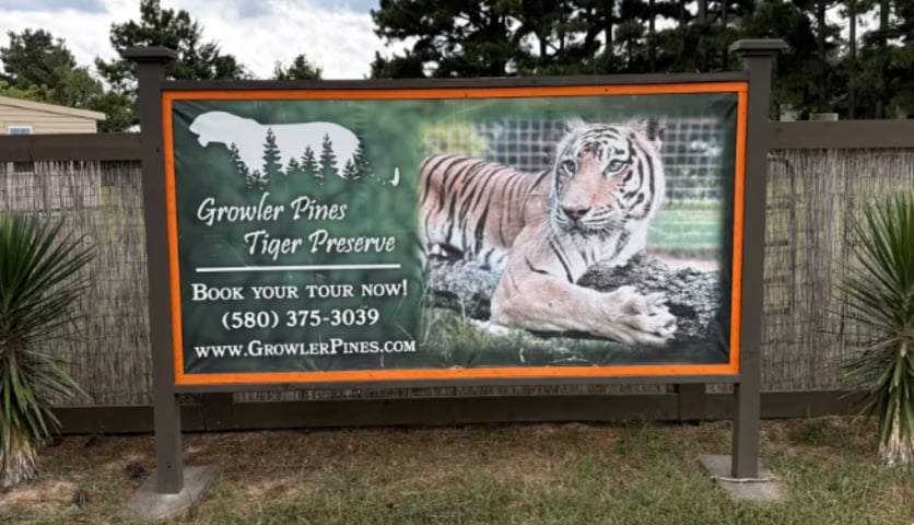 O santuário destacou que Easley era um defensor apaixonado da conservação e dedicou sua carreira à proteção de grandes felinos. O Growler Pines surgiu quando o antigo show itinerante ShowMe Tigers buscou se transformar em espaço fixo de conscientização sobre animais de circo aposentados.