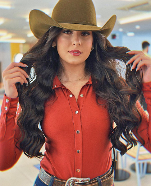 “O mercado artístico nacional possui características específicas relacionadas à agenda de shows, momento da carreira e logística, o que afasta a verossimilhança de sobrepreço”, afirmou o juiz substituto Luiz Guilherme Carvalho Guimarães, da Vara Única de Sapezal.