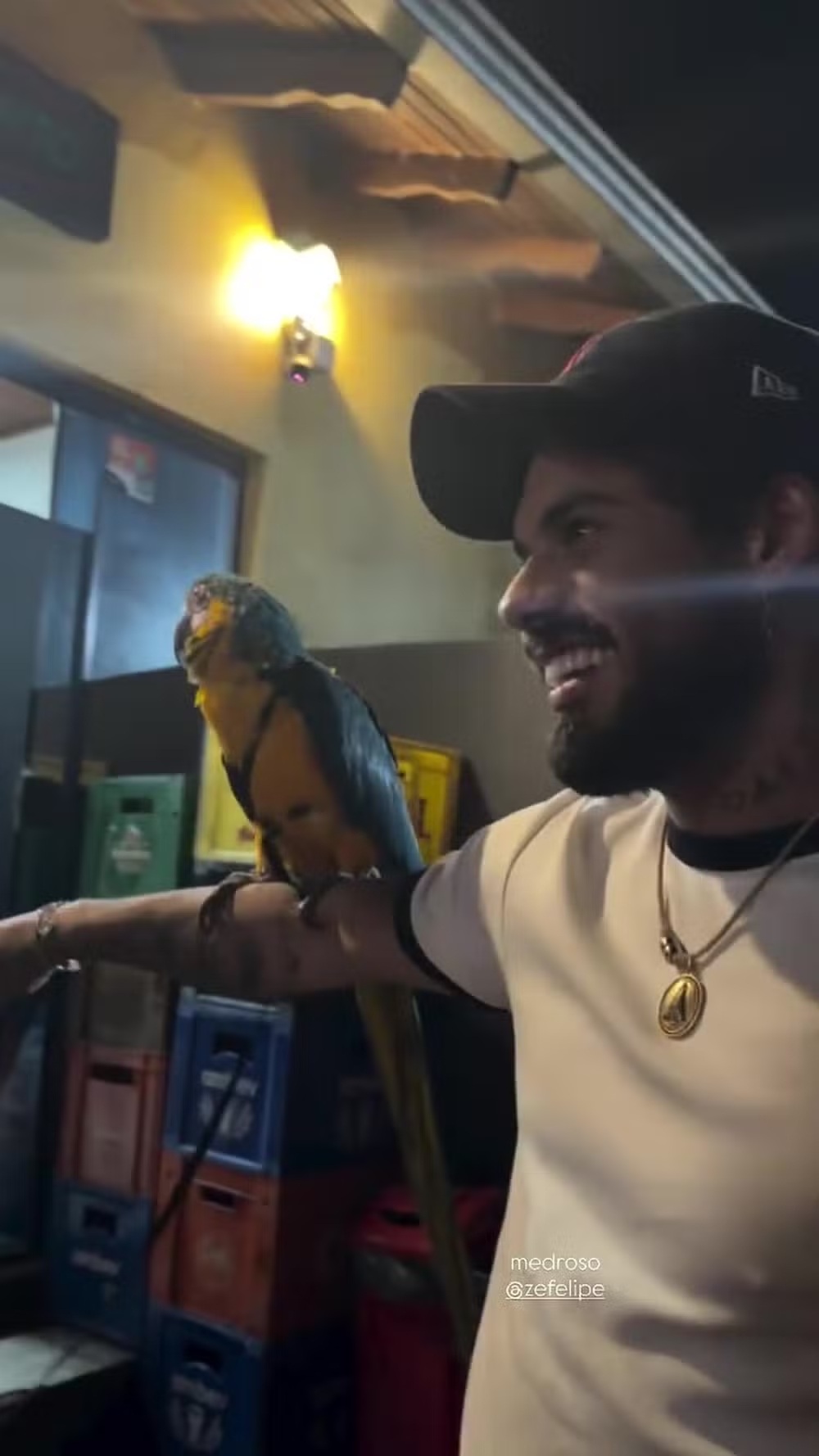 Os dois apareceram bebendo e curtindo um churrasco ao lado de amigos, entre eles Luan Pereira, 22. Em outro momento, a sertaneja filmou Zé Felipe com uma arara no braço e brincou chamando-o de medroso.