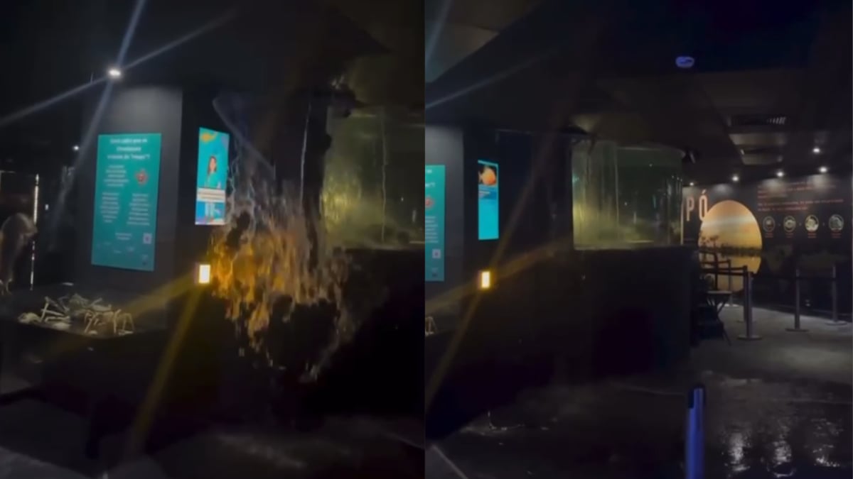 Ao sair do tanque vimos um filete de água caindo, não havia funcionários ali naquele momento. Falei para o grupo se afastar, foi quando chegaram os funcionários e o volume de água que caia começou a aumentar, relatou a fisioterapeuta Lívia Castrioto - autora da gravação.