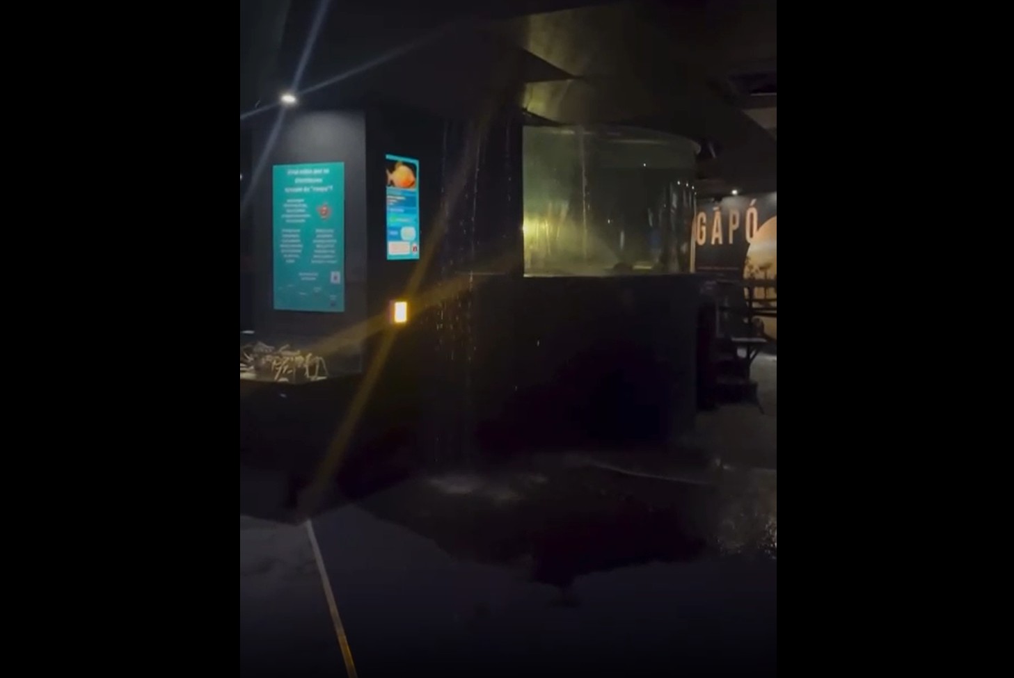 Visitantes registraram o momento em que a água começou a escorrer até derrubar parte do forro. Em nota, o aquário explicou que houve transbordamento em um recinto menor e garantiu que a situação foi controlada rapidamente, sem necessidade de fechar o local.