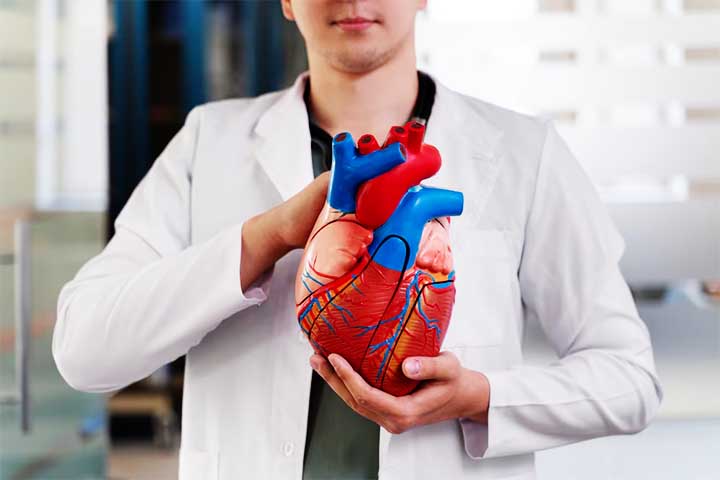 A Sociedade Brasileira de Cardiologia divulgou no dia 24 de setembro de 2025 a nova “Diretriz de Dislipidemias e Prevenção da Aterosclerose”, atualização que substitui a versão de 2017. 
