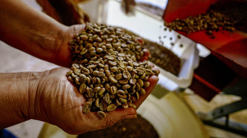 Treinamento foi realizado durante dois dias no Sitio São Roque, produtor de café em Munlungu