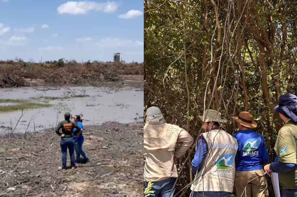 Vistoria analisa área desmatada do Aeroporto de Fortaleza e suspende obras após irregularidades detectadas(Foto: Reprodução/ Superintendência Estadual do Meio Ambiente do Ceará (Semace))