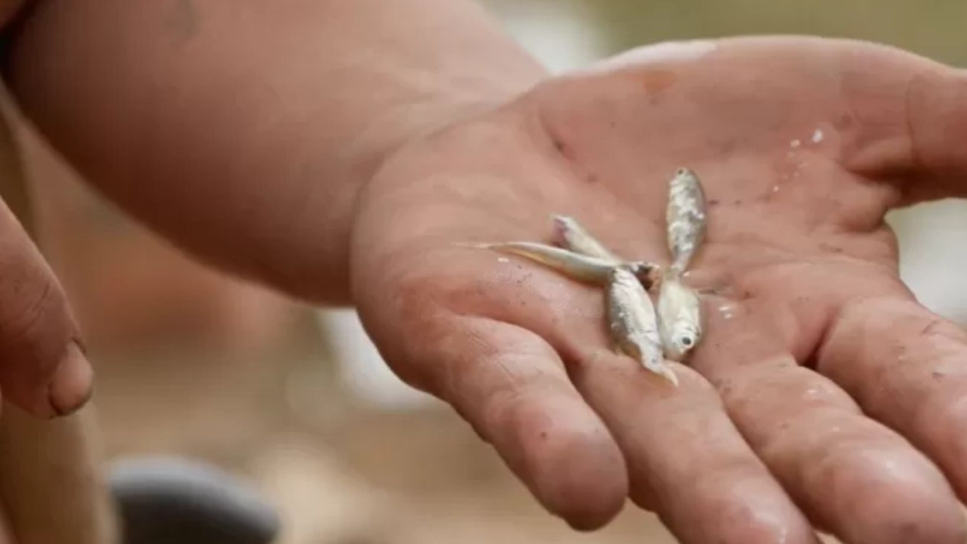 Participante brasileira de "Largados e Pelados" viraliza com técnica inusitada de pesca 