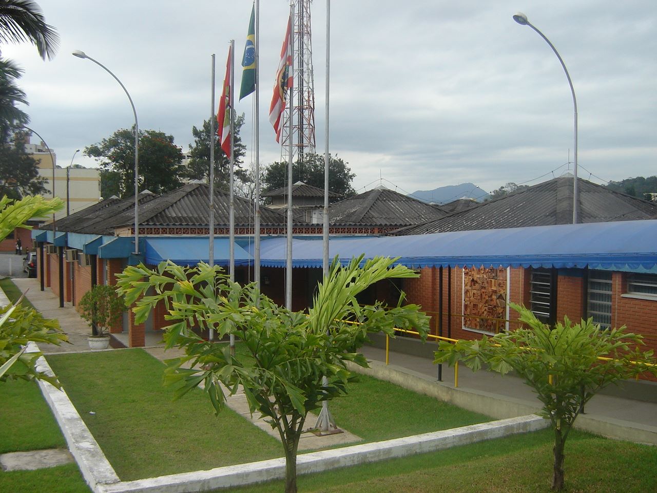 Mas a esposa de um ex-professor do Cedup ficou sabendo e impediu que o animal fosse sacrificado.  