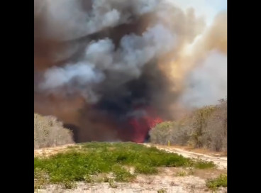 Vídeo publicado no Instagram do deputado Guilherme Bismarck mostra intensidade do incêndio 