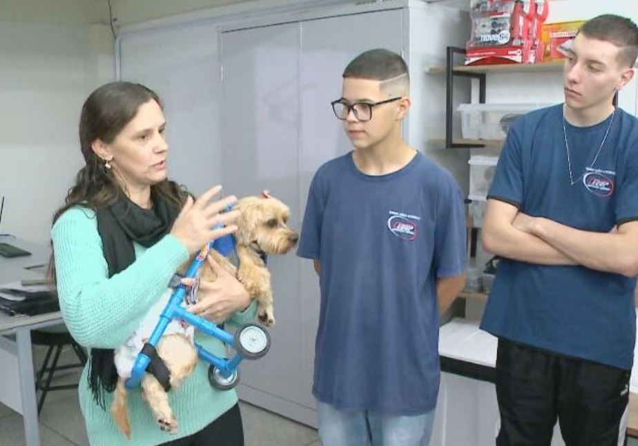 Ela se propôs a levar Will para casa, mesmo sabendo que o cãozinho teria necessidades especiais.