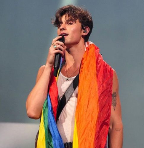 Shawn Mendes: Em 2022, o cantor tomou a decisão de encerrar sua turnê “Wonder” com o objetivo principal de cuidar de sua saúde mental. 