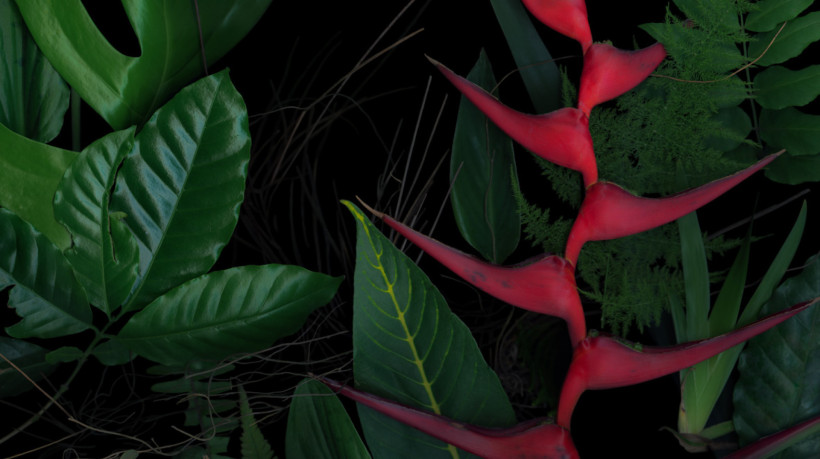 Exposição Luzia Simons – Passagem pelo Jardim de Lina Bo e P.M. Bardi, no Instituto Bardi / Casa de Vidro.