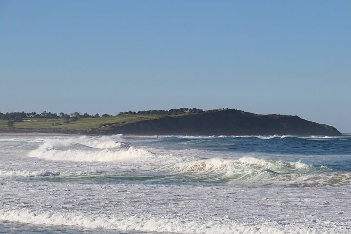 Um ataque de tubarão considerado um dos mais violentos já registrados na Austrália chocou banhistas na praia de Dee Why, em Sydney. Foi no dia 6 de setembro.