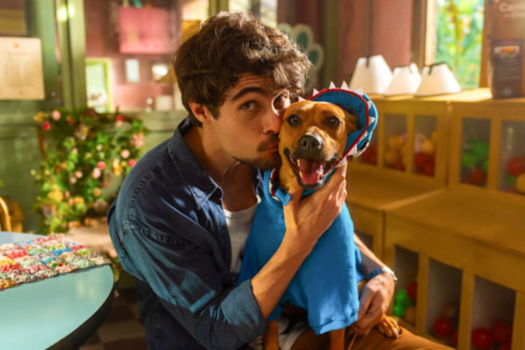 Um chef encontra esperança após um diagnóstico difícil, com a ajuda de um cão vira-lata. 