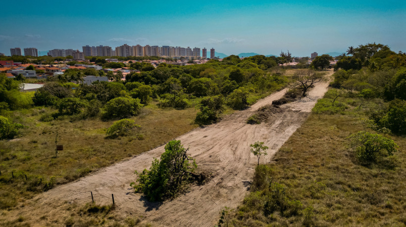 &Aacute;rea remanescente de mata de Cerrado &eacute; desmatada em Fortaleza, no bairro Cambeba.