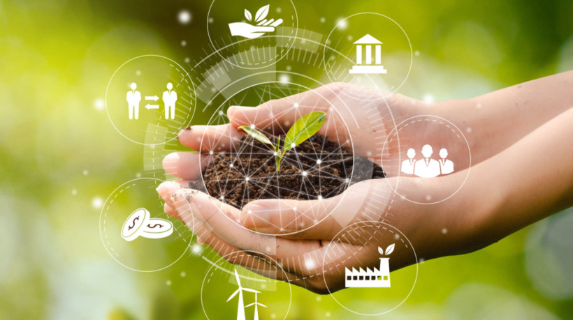 Veja os temas de ecologia mais cobrados nos vestibulares