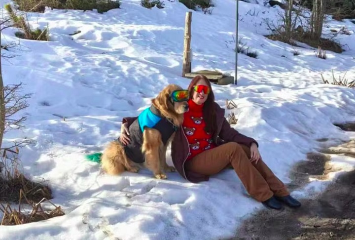 Segundo a CNN, Labibi morava em Marília, São Paulo, e tinha um sonho de levar a mãe e os cachorros para conhecer a neve.